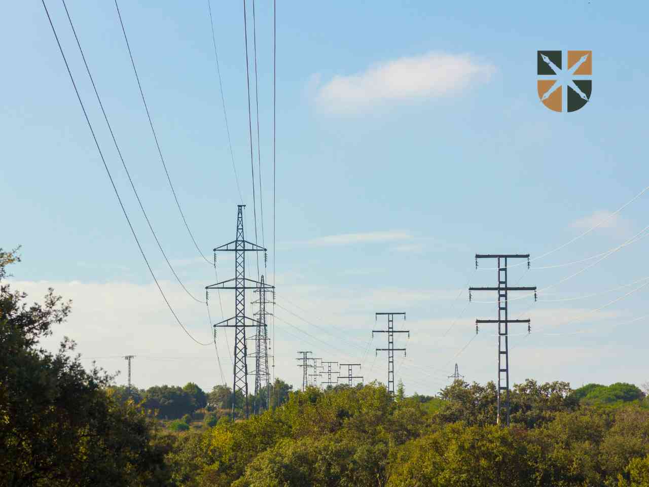 Różne typy słupów energetycznych i linii przesyłowych na tle nieba i pasma zieleni.