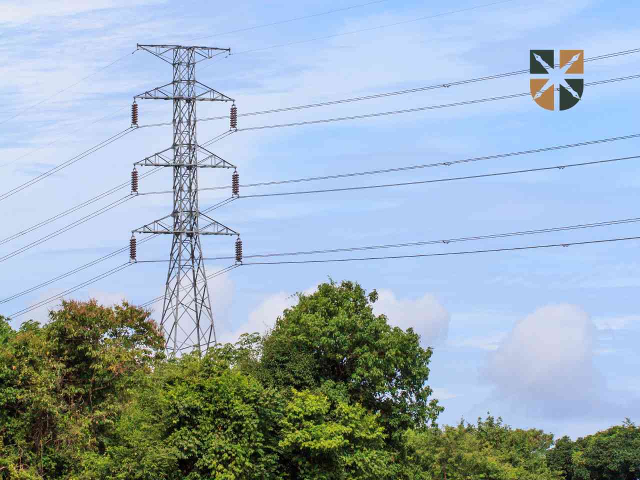 Wysoki stalowy słup elektroenergetyczny górujący nad gęstymi drzewami przy słonecznej pogodzie.