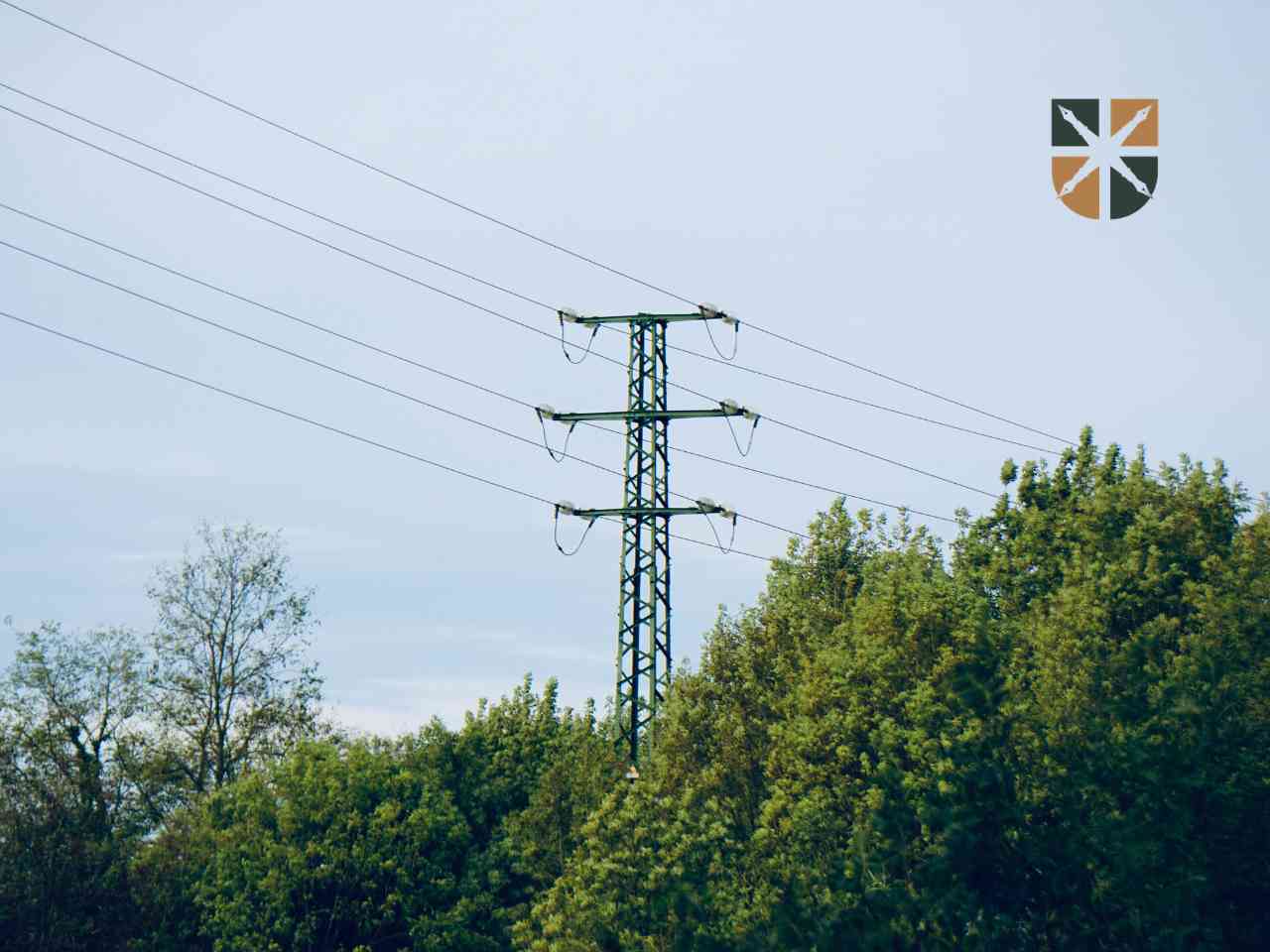 Słup energetyczny wyrastający spoza gęstych zielonych drzew jako przykład infrastruktury przesyłowej na działce.