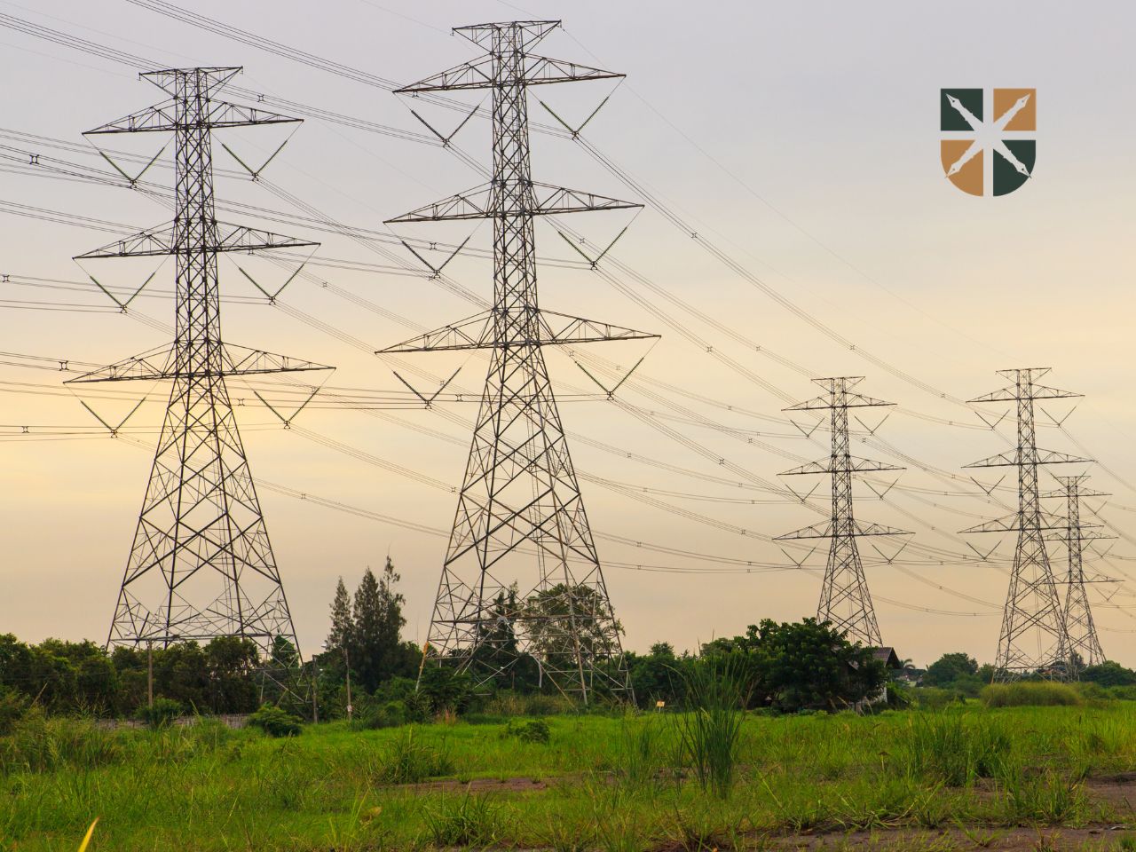 Wysokie słupy elektroenergetyczne z przewodami wysokiego napięcia, stojące na zielonej, trawiaste działce.