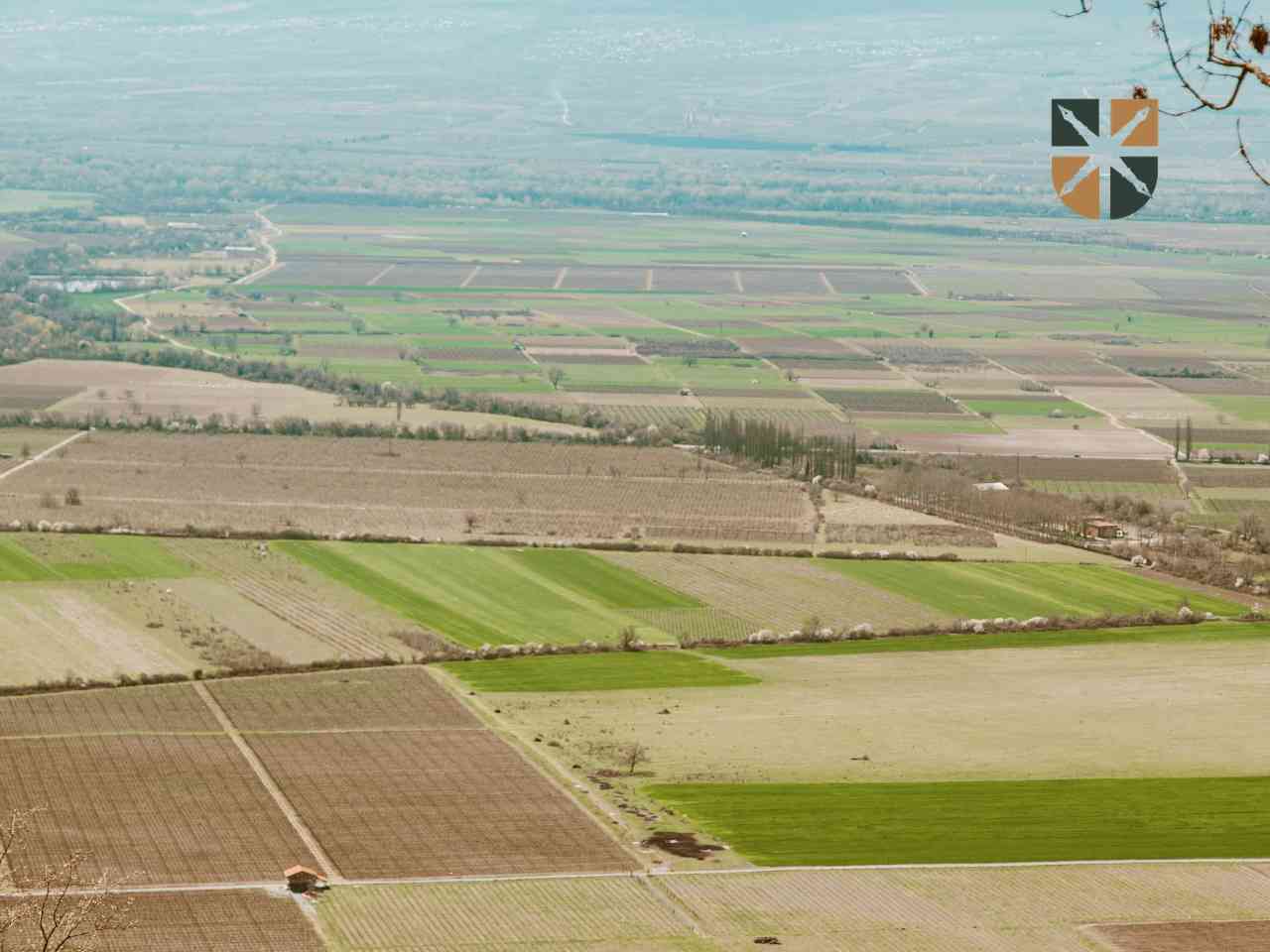 Panorama podzielonych działek gruntowych – grafika obrazująca analizę stanu faktycznego nieruchomości przed sprzedażą.