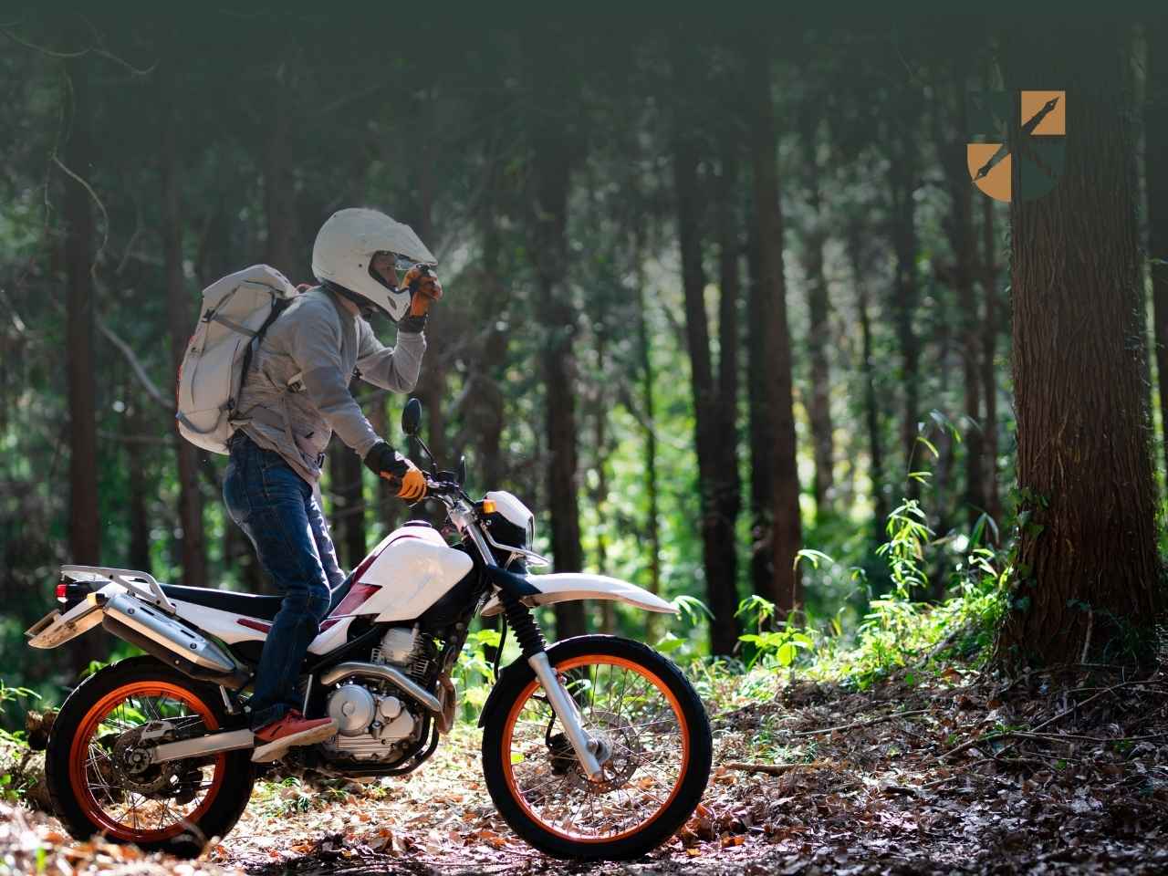 A rider wearing a helmet and gloves sits on a white dirt bike in a sunlit forest, preparing to ride.