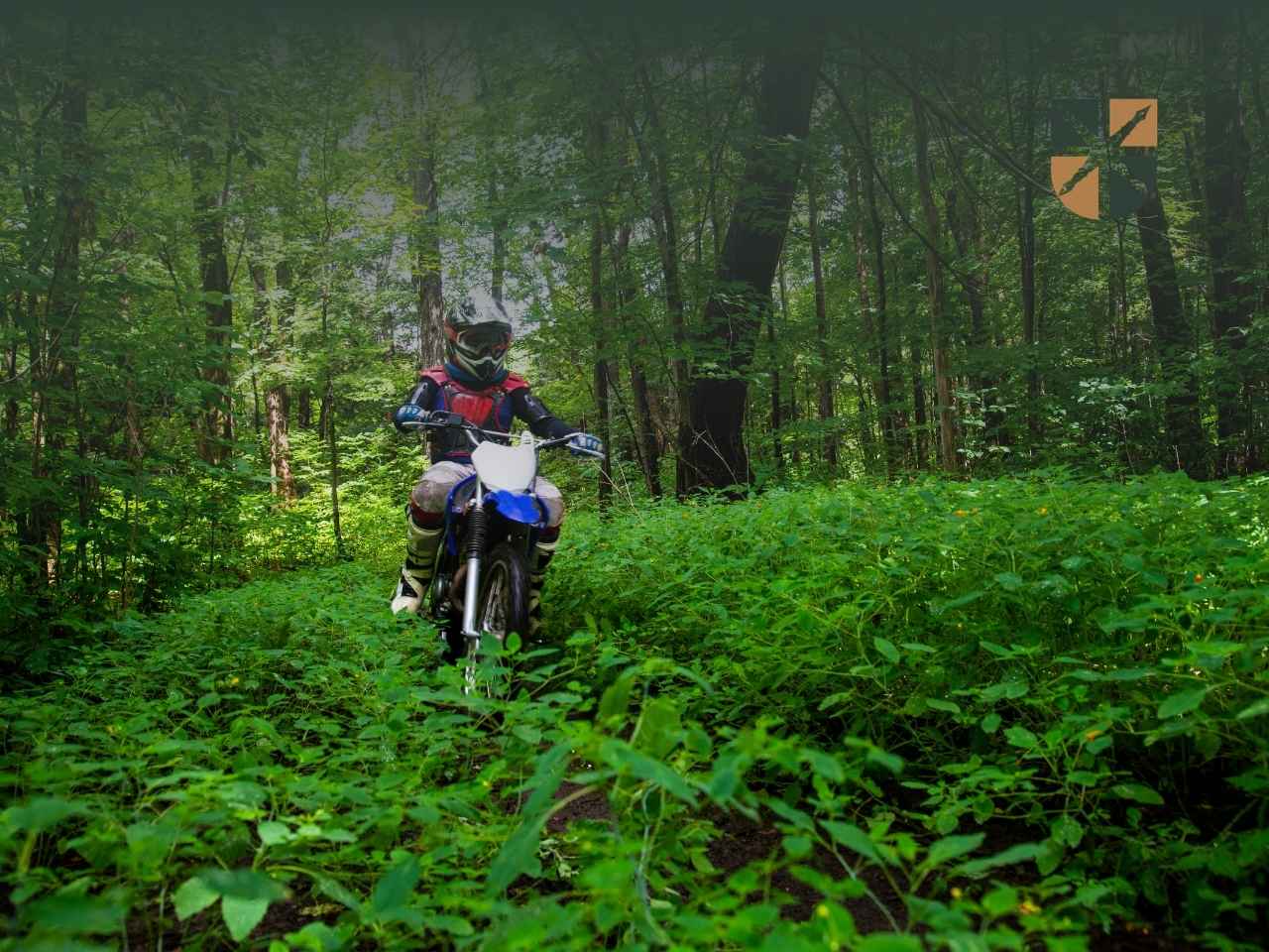 Motorcyclist wearing helmet and protective gear rides a blue dirt bike through a dense green forest trail.