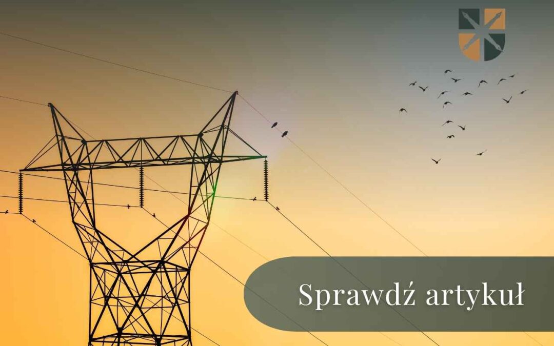 Przycisk z napisem „Sprawdź artykuł” na tle słupa energetycznego i lecących ptaków.