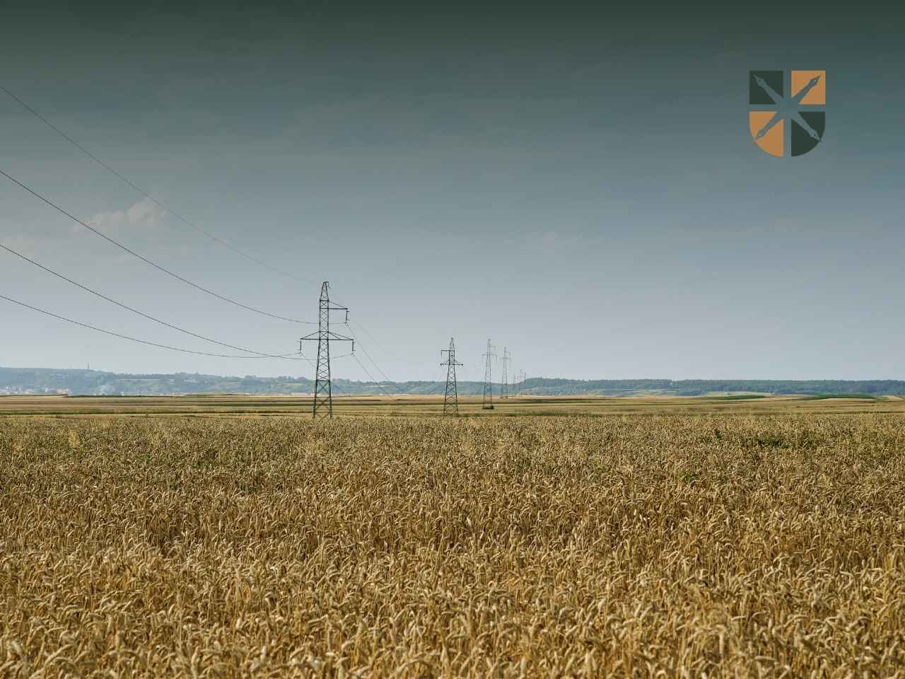 slupy-w-oddali-na-polu Linia wysokiego napięcia ze słupami energetycznymi przecina dojrzałe pole zbóż.