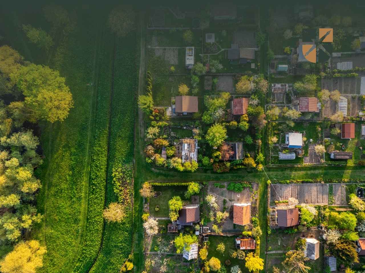 zabudowa Aerial view of a village with neatly arranged houses, gardens, and tree-lined streets next to a large green field on the left.