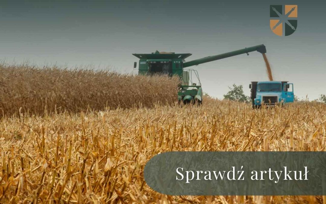 Kombajn zbierający zboże i przesypujący ziarno na ciężarówkę – baner z napisem „Sprawdź artykuł”.