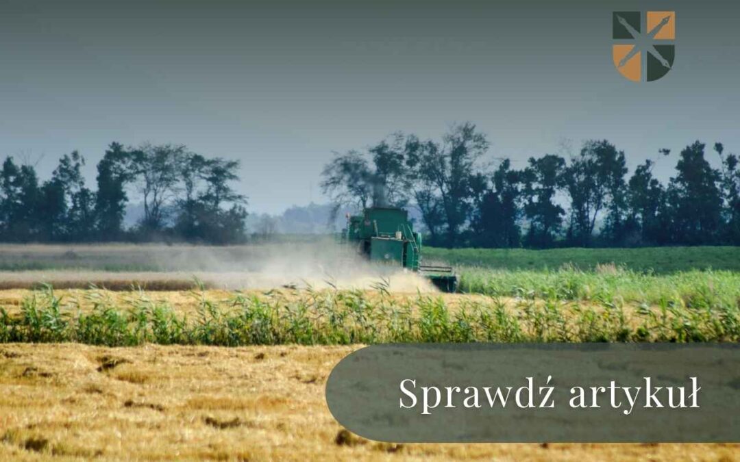 Zielony kombajn zbierający zboże na żółtym polu uprawnym pod koniec lata.