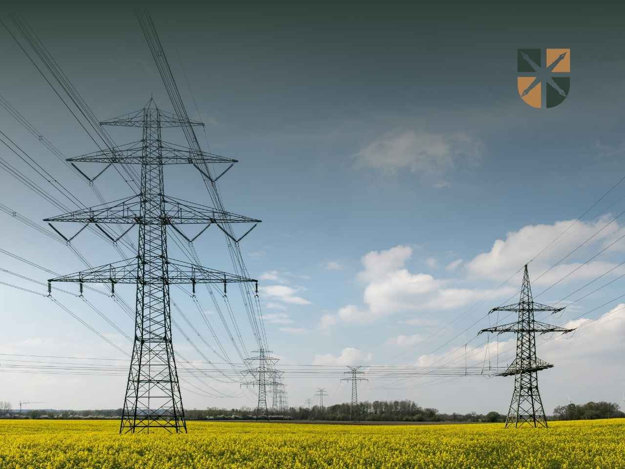Stalowe słupy linii energetycznej na kwitnącym polu rzepaku – roszczenia o wynagrodzenie za służebność przesyłu.