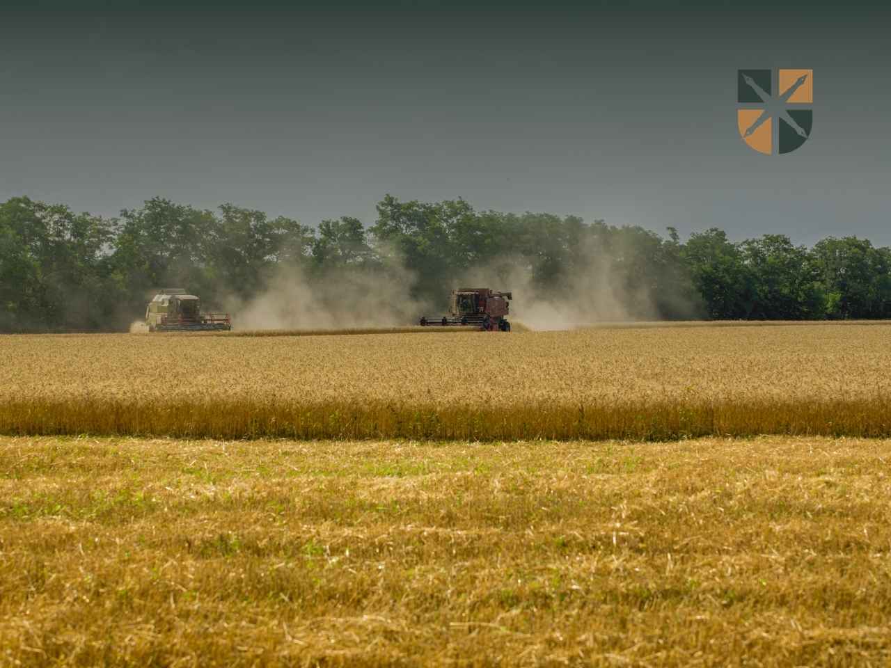 kombajny Kombajny koszące zboże na polu uprawnym podczas żniw i zbioru plonów.