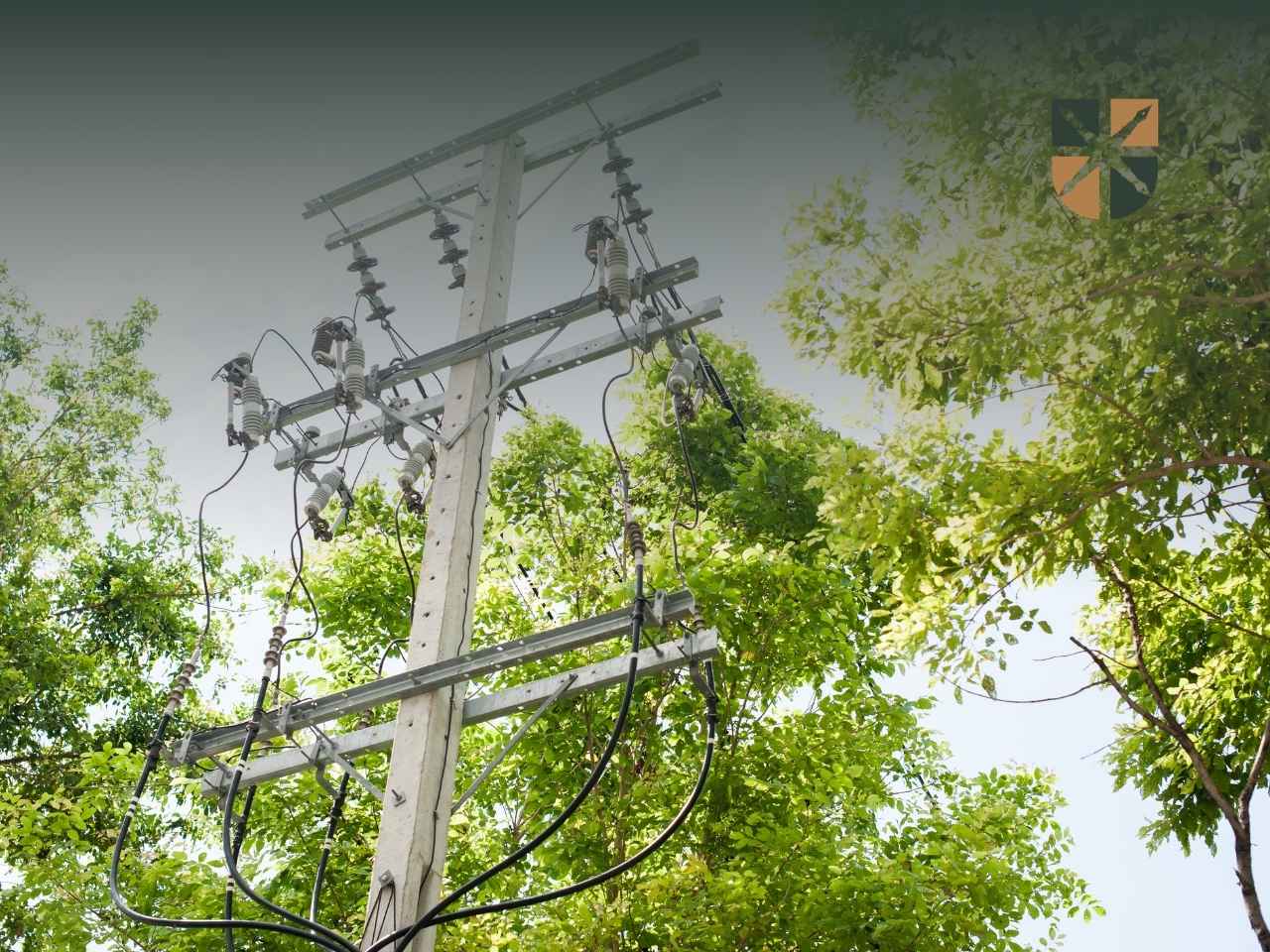 odszkodowanie-slup-energetyczny Betonowy słup energetyczny z przewodami stojący wśród zielonych drzew na działce.
