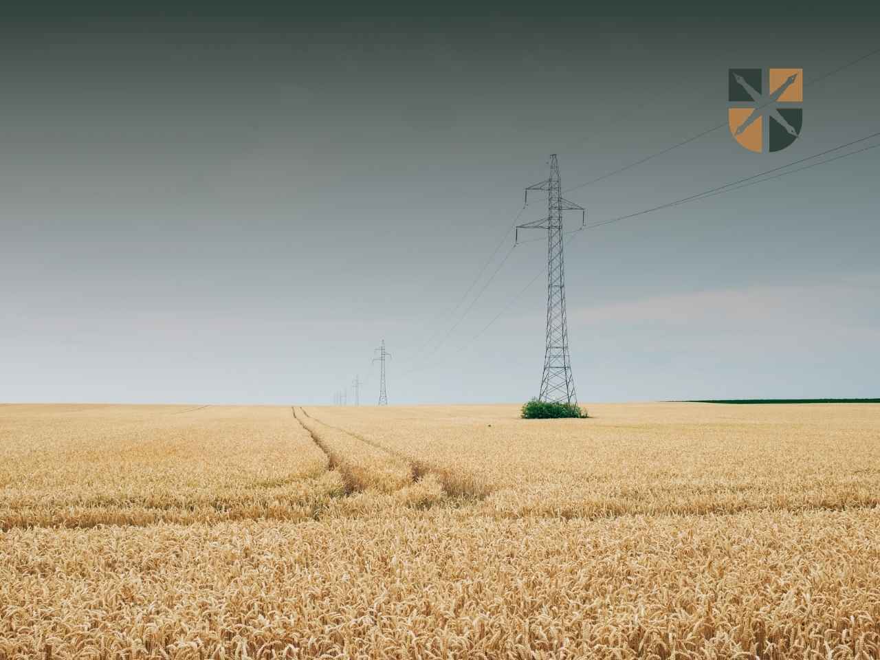 słup-plony Słup wysokiego napięcia stojący na środku dojrzałego pola pszenicy.
